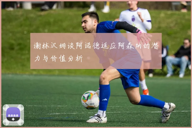 谢林汉姆谈阿诺德适应阿森纳的潜力与价值分析