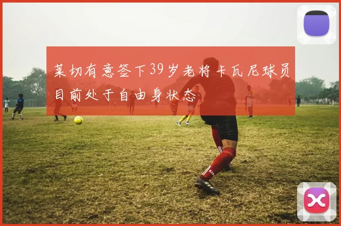 莱切有意签下39岁老将卡瓦尼球员目前处于自由身状态